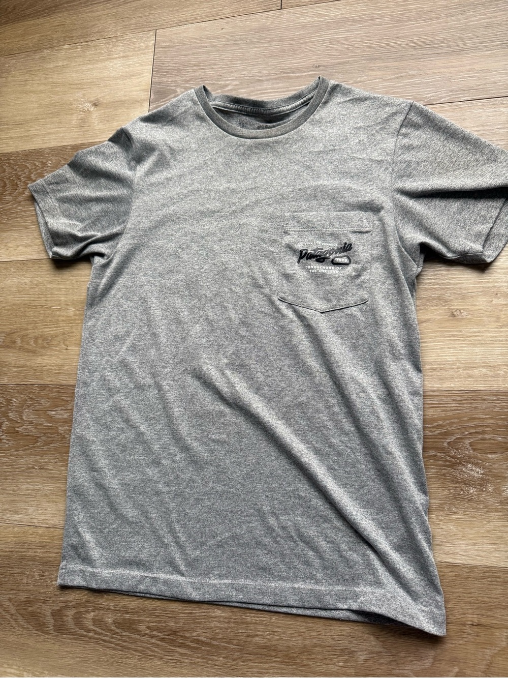 Patagonia Viva Los Funhogs Conquerors of the Useless Pocket T-Shirt Gray